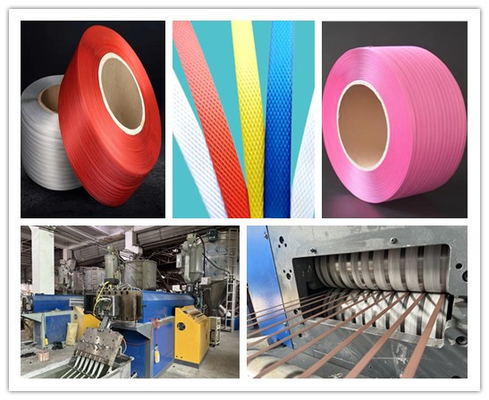 Dây dây đai PP có màu sắc tùy chỉnh để bảo mật PP Chiều rộng đóng gói với 5-19mm