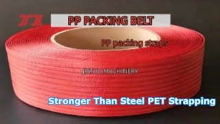 Vành đai đóng gói PP 5-19mm